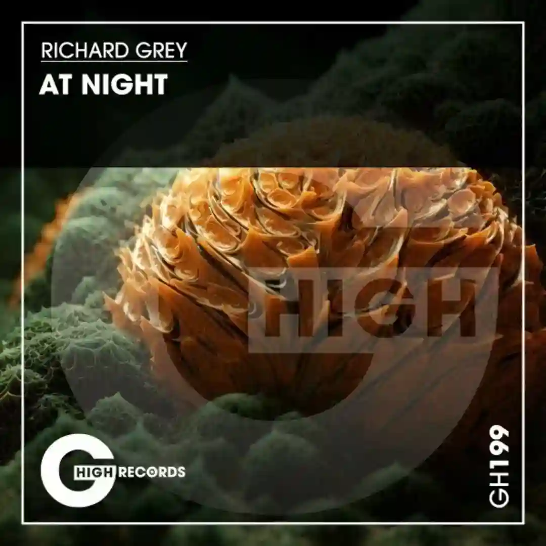 At Night cover