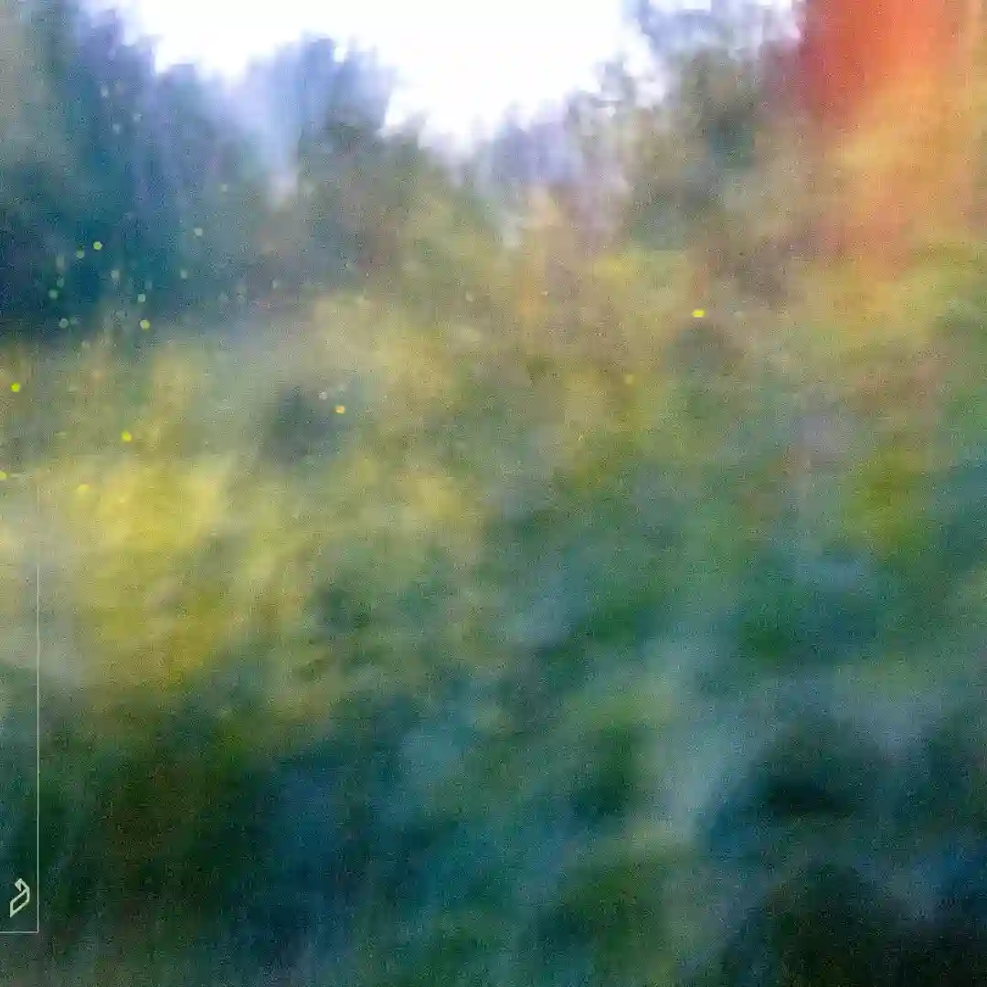 fireflies (for as far as we could see) (extended mix) cover