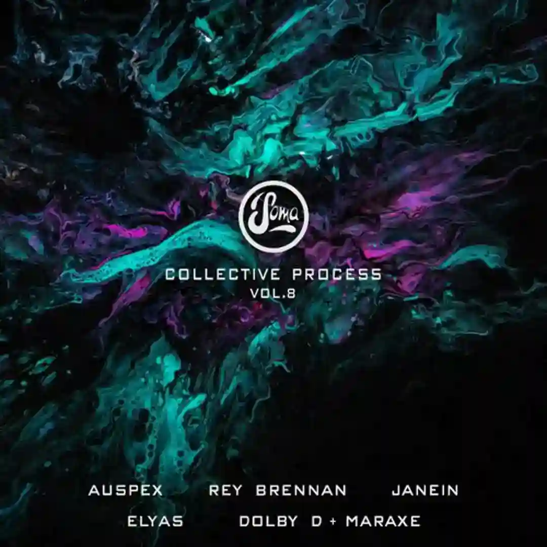 Collective Process, Vol. 8 cover