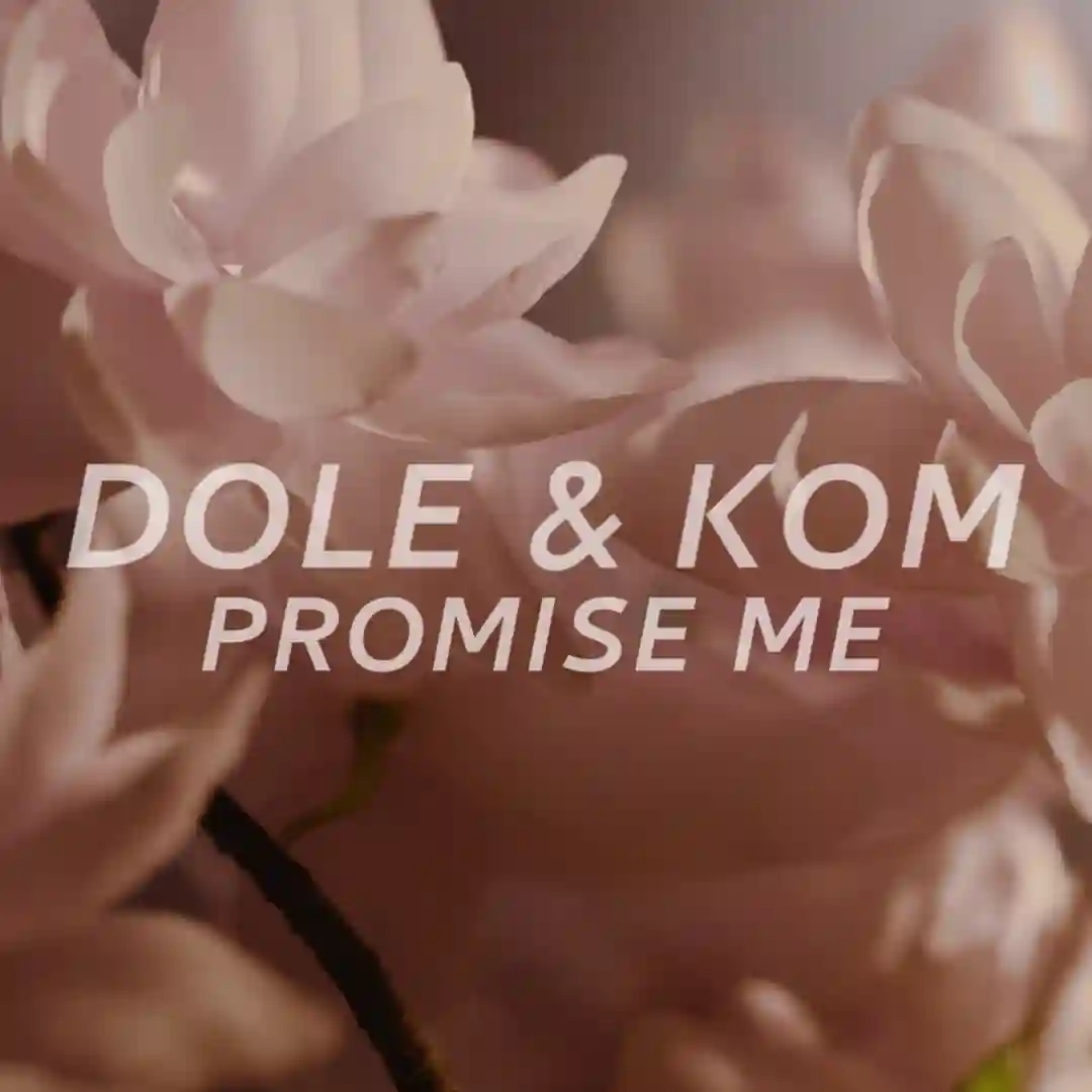 Promise Me cover