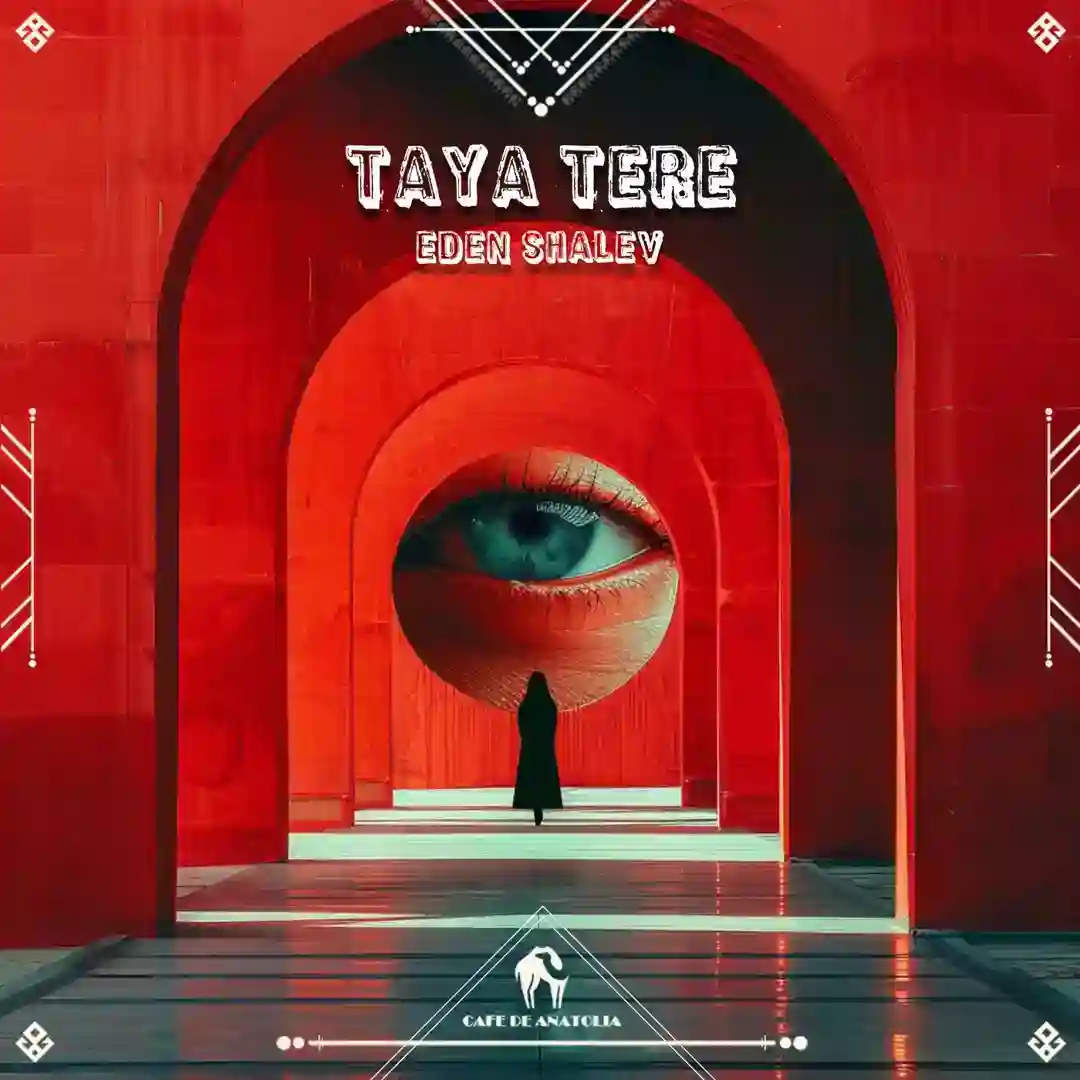 Taya Tere cover
