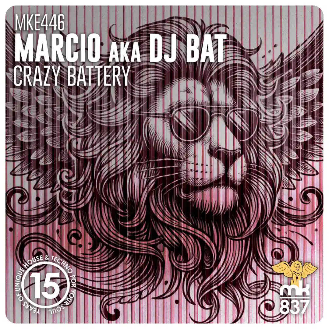 Crazy Battery (Original Mix) cover