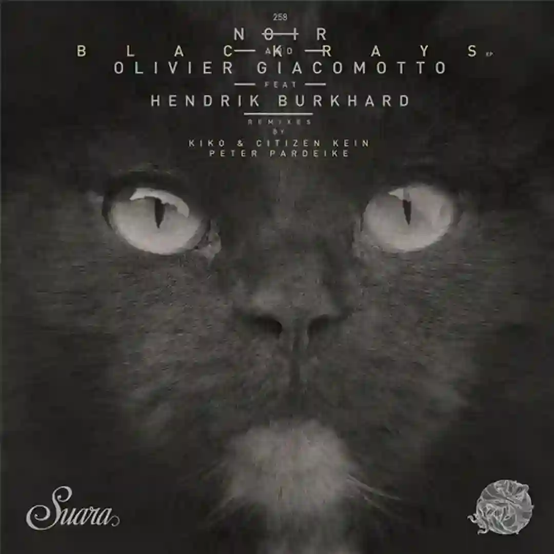 Blackrays Feat. Hendrik Burkhard (Peter Pardeike Remix) cover
