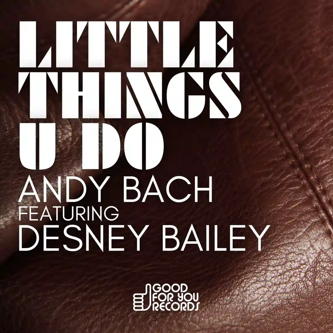 Little Things U Do (Instrumental) cover