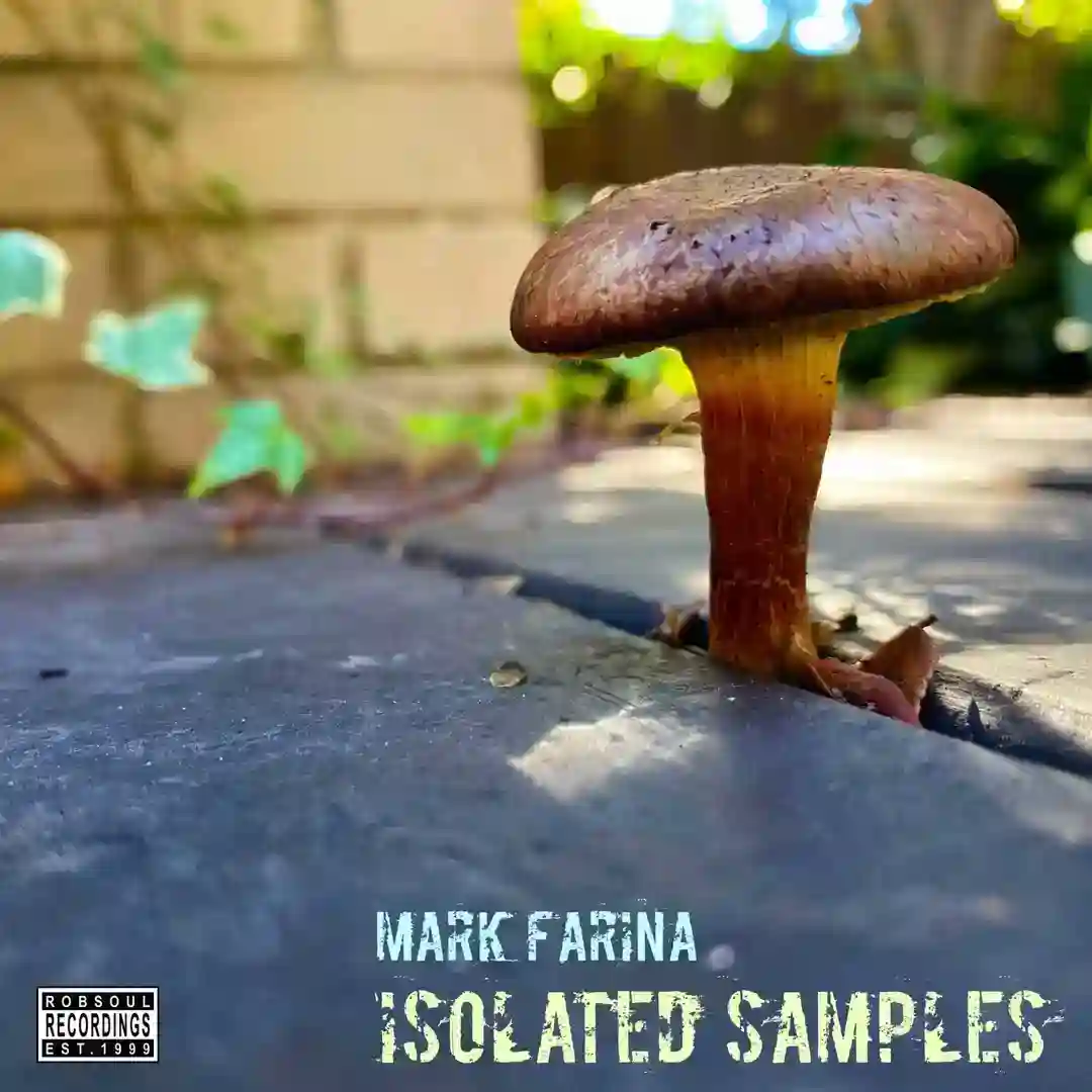 Big Sexy Shuffle cover