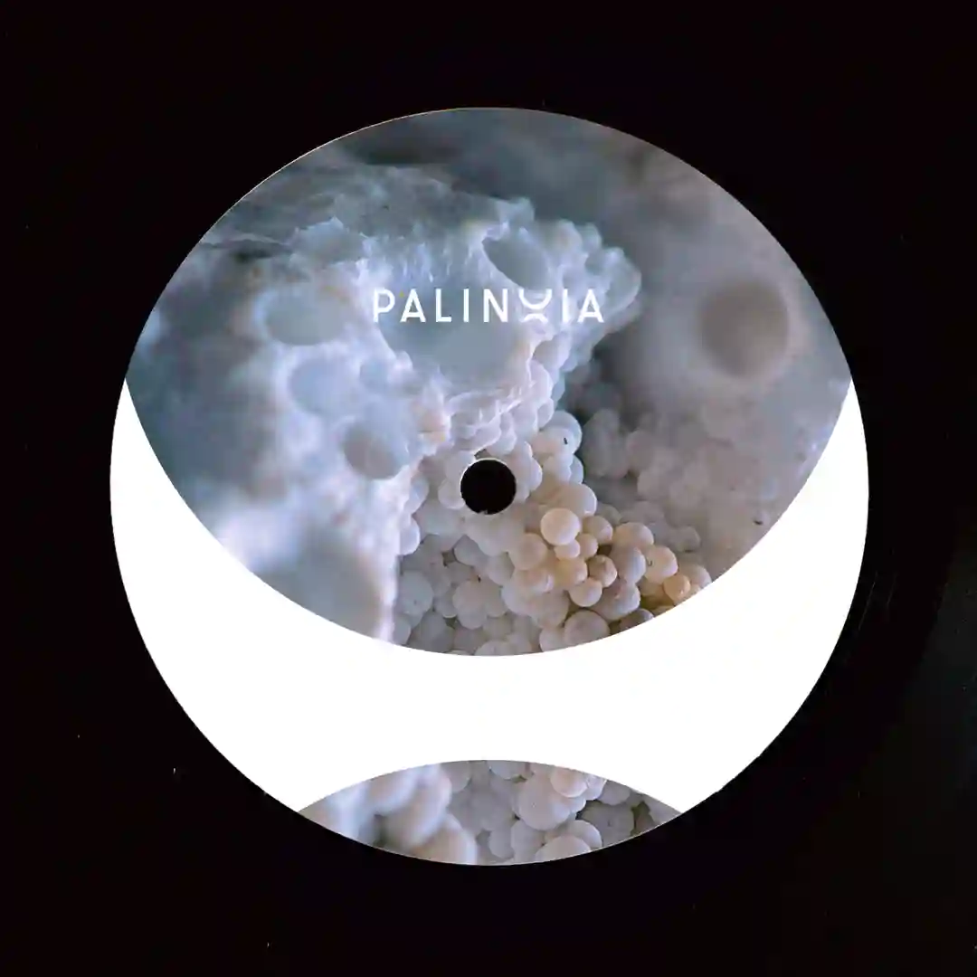 PBG001 (Original Mix) cover