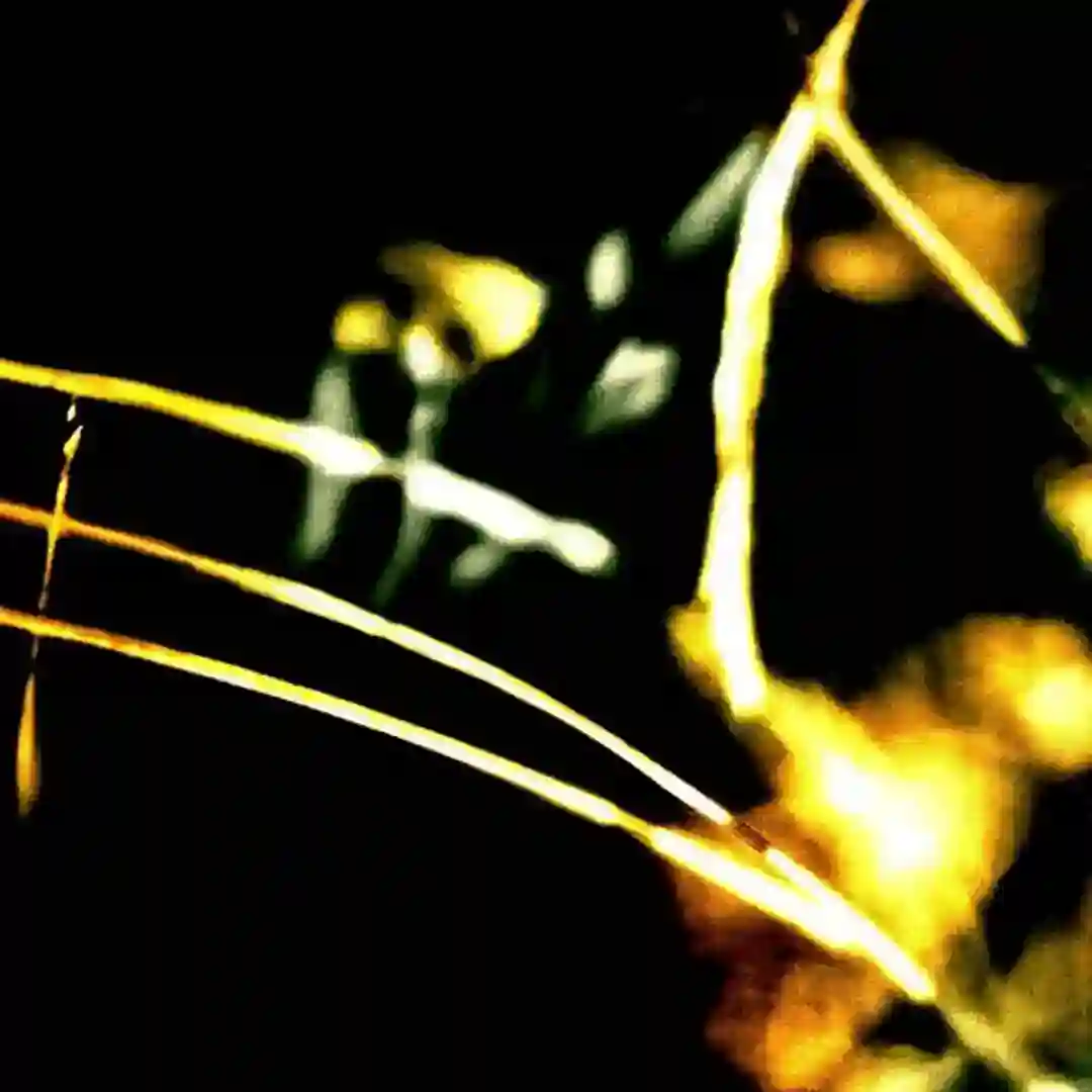 Transmission (Original Mix) cover