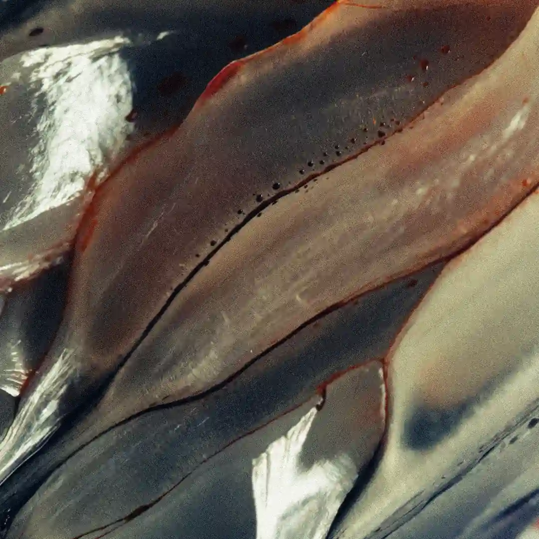 The Sea Of Thoughts And Fears (Instrumental) cover