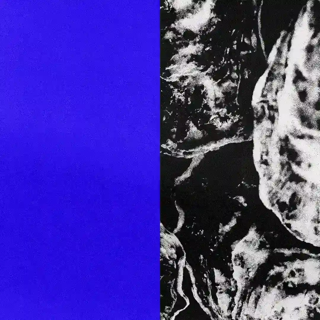 Bleak cover