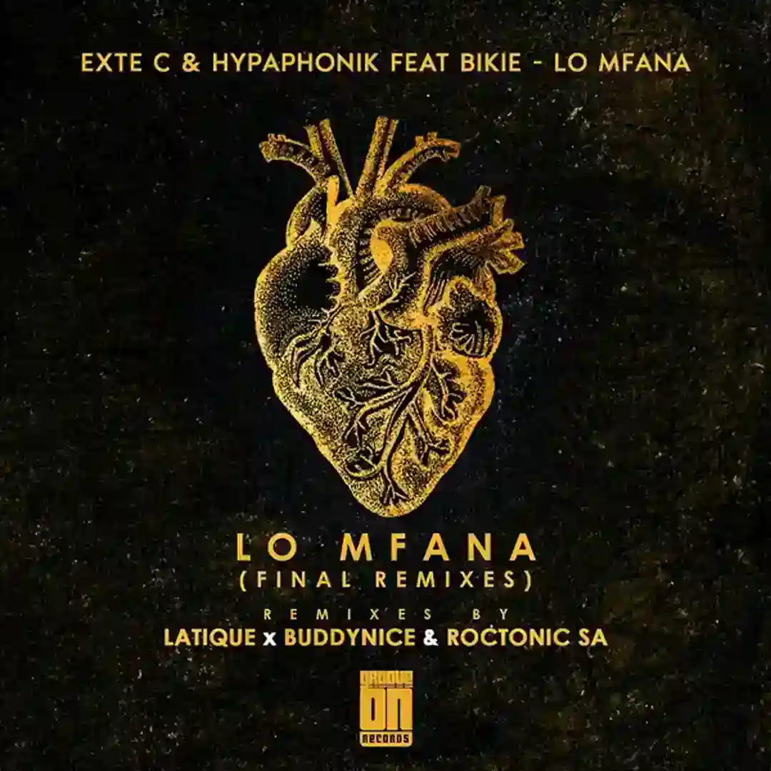 Lo Mfana (Final Remixes) cover