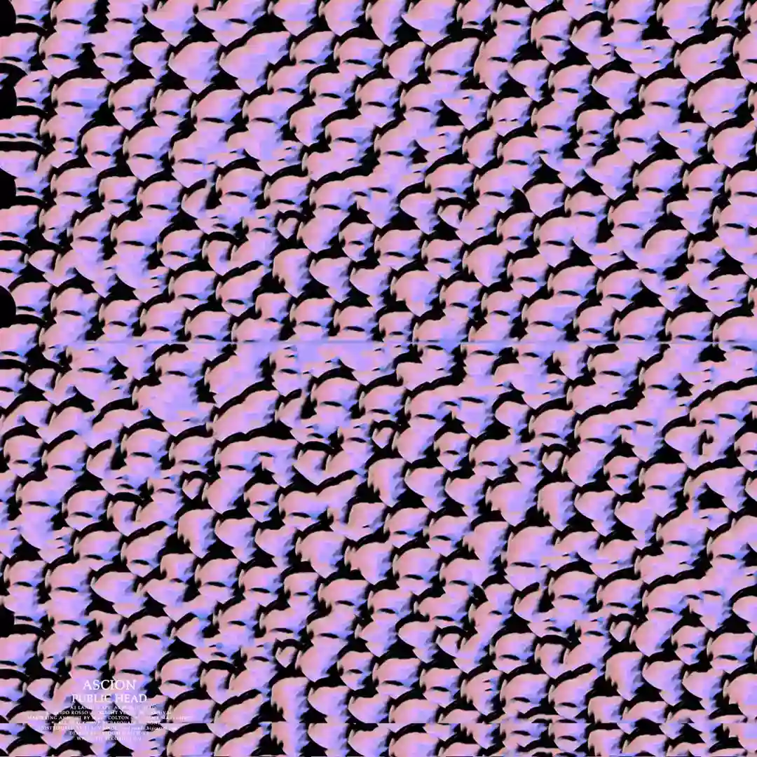 Public Head cover