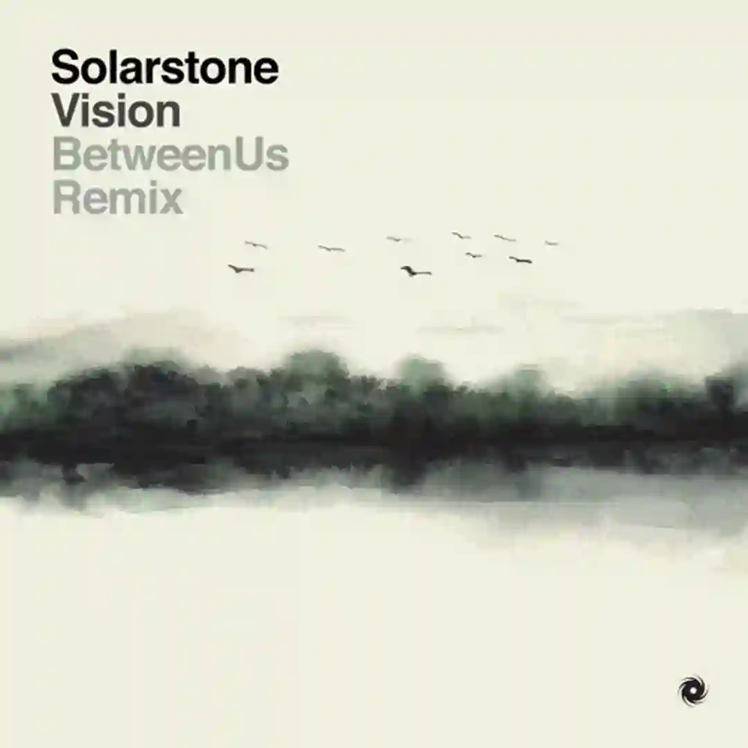 Vision - BetweenUs Remix cover
