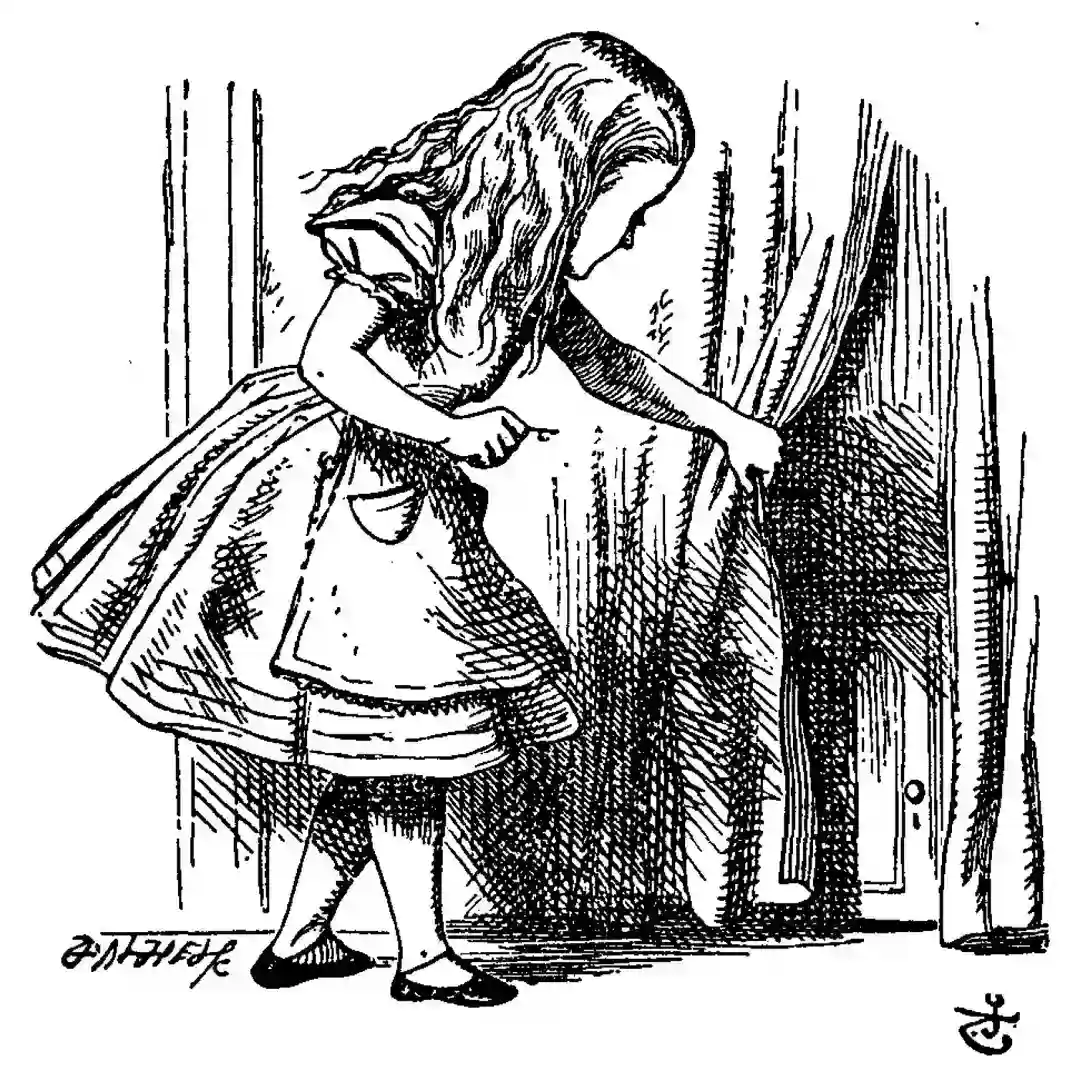 Curtain Twitcher (Nina Kraviz Alice Was Here Remix) cover