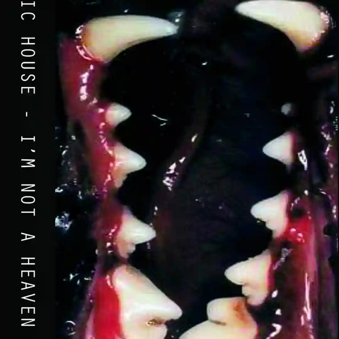 Soft Cores cover