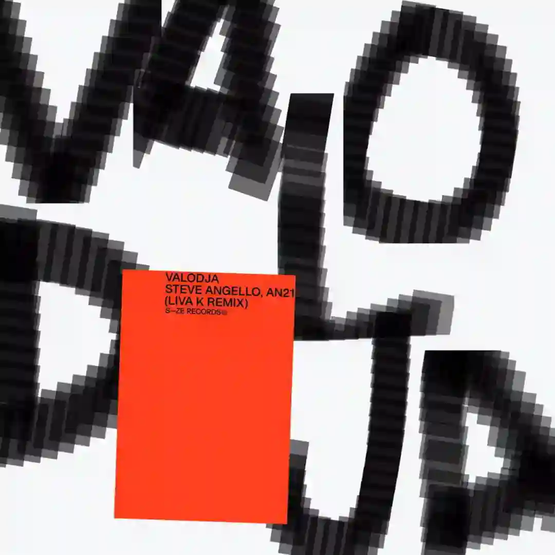 Valodja (Liva K Remix) cover