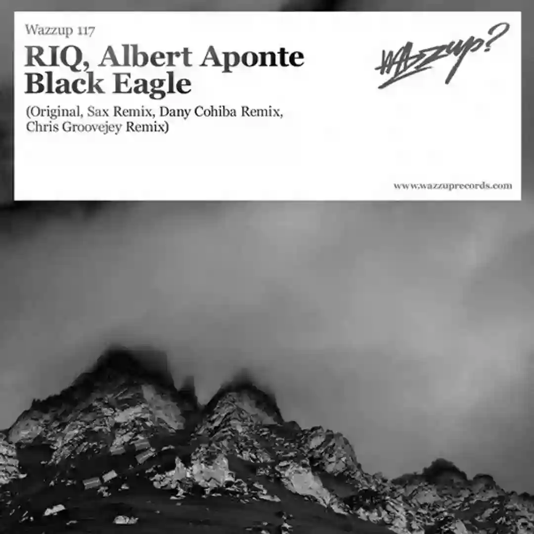 Black Eagle (Dany Cohiba Remix) cover