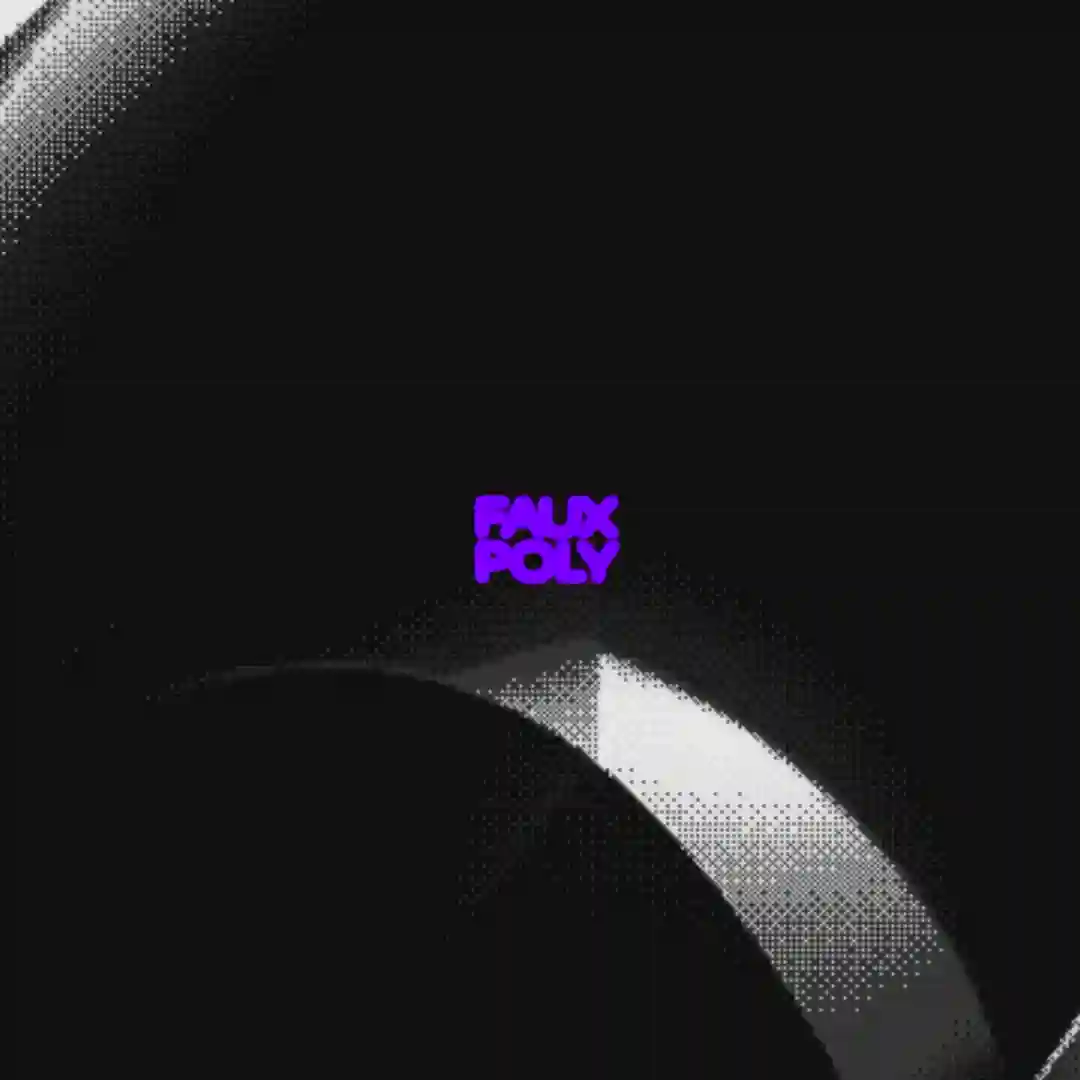 Faux Poly: Remixed 004 cover