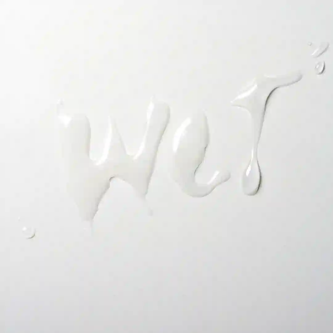 Wet Vision II (Original Mix) cover