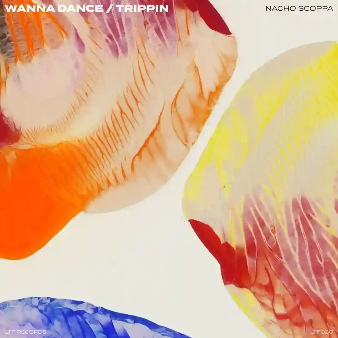 Wanna Dance (Original Mix) cover
