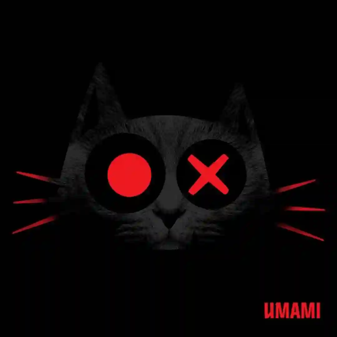 Schwarz (Original Mix) cover