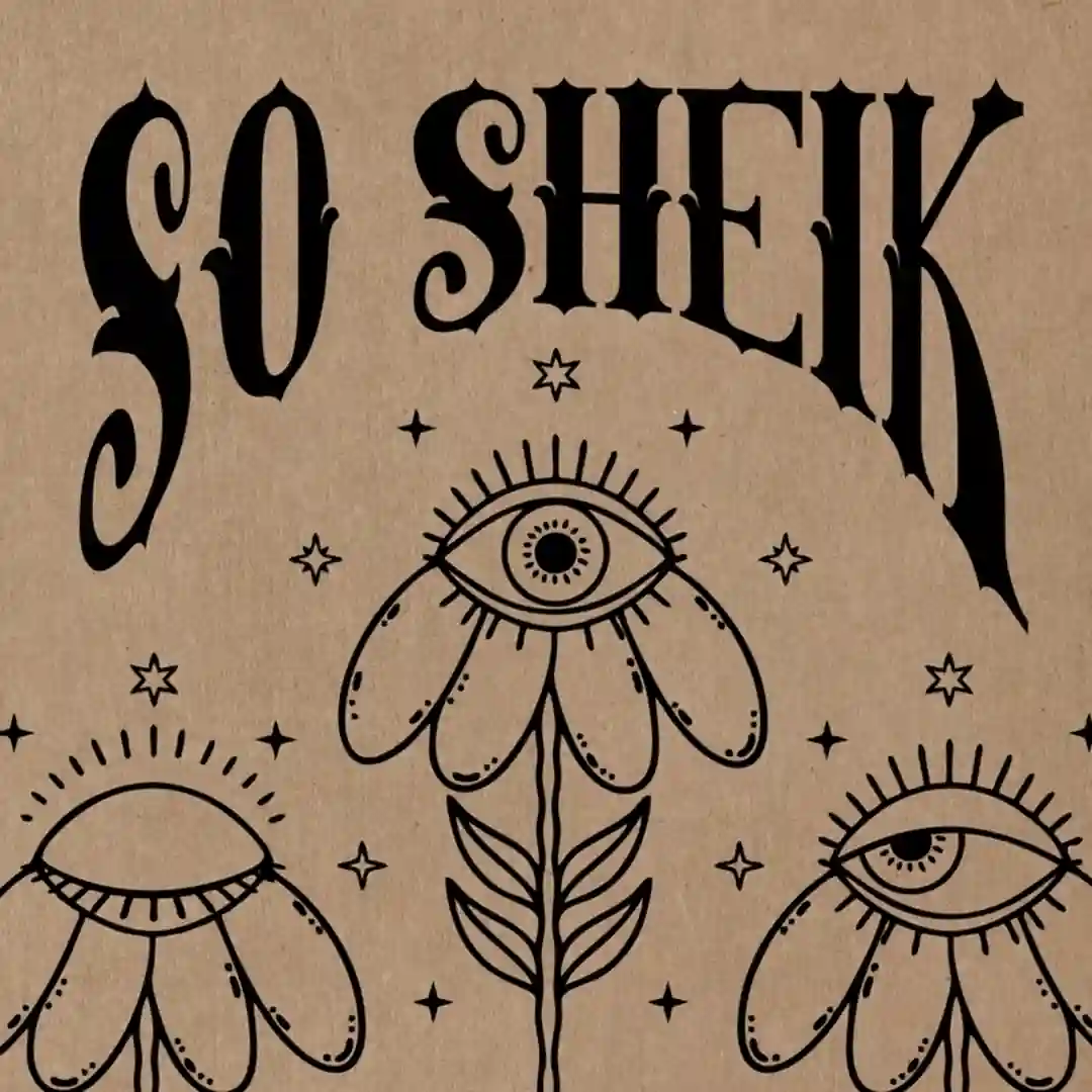 So Sheik (Alexis Tyrel Remix) cover