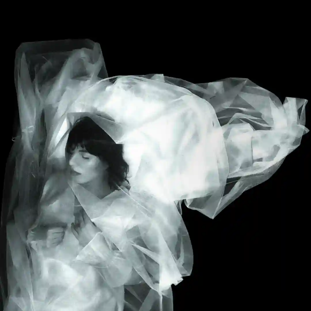 Veil cover