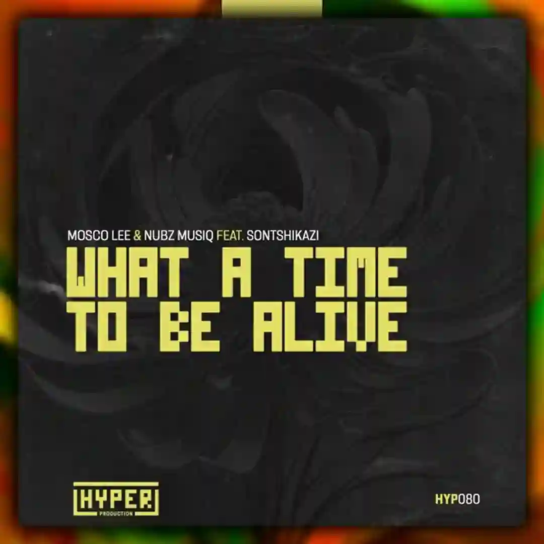 What A Time To Be Alive (Instrumental Mix) cover