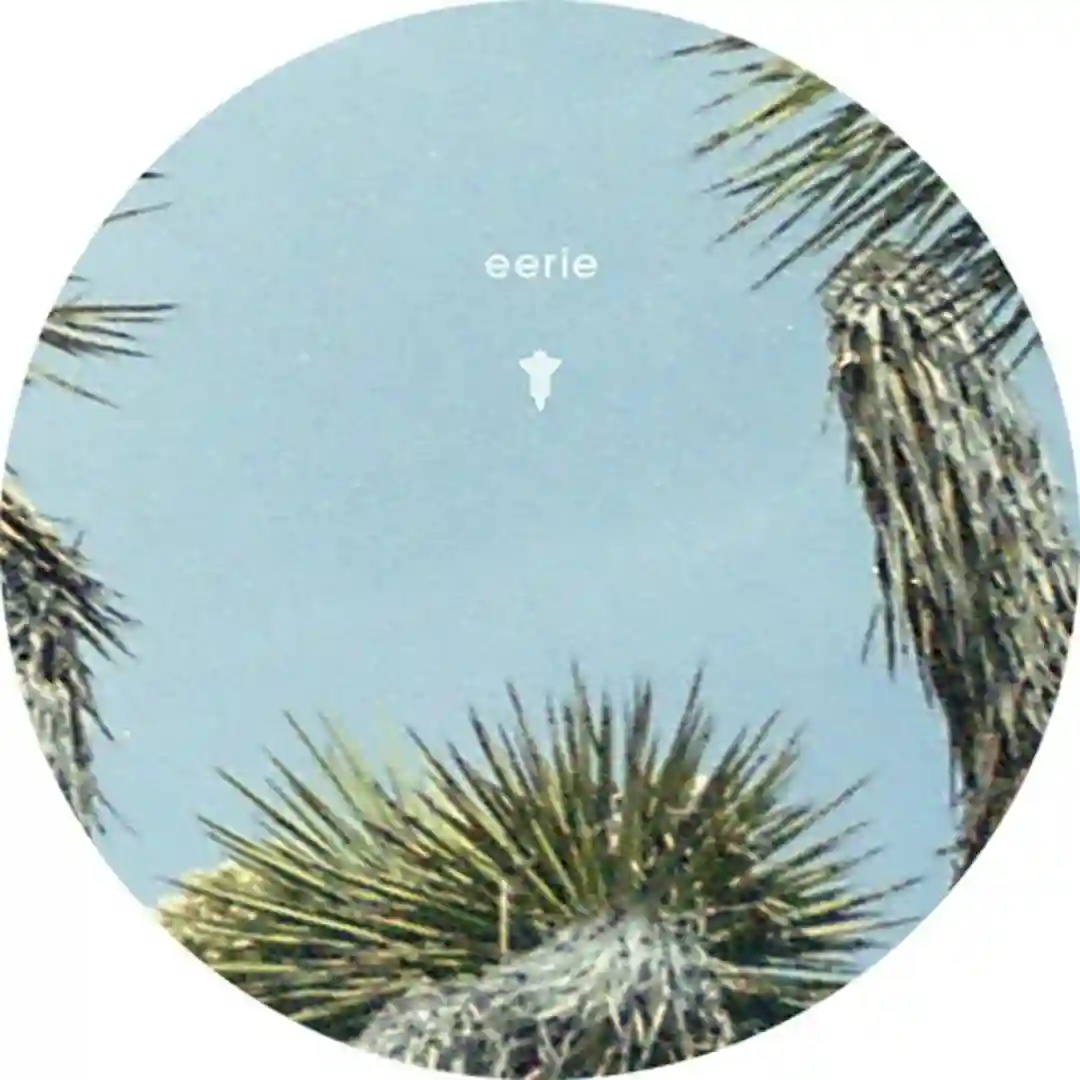 W.E.I.R.D. cover