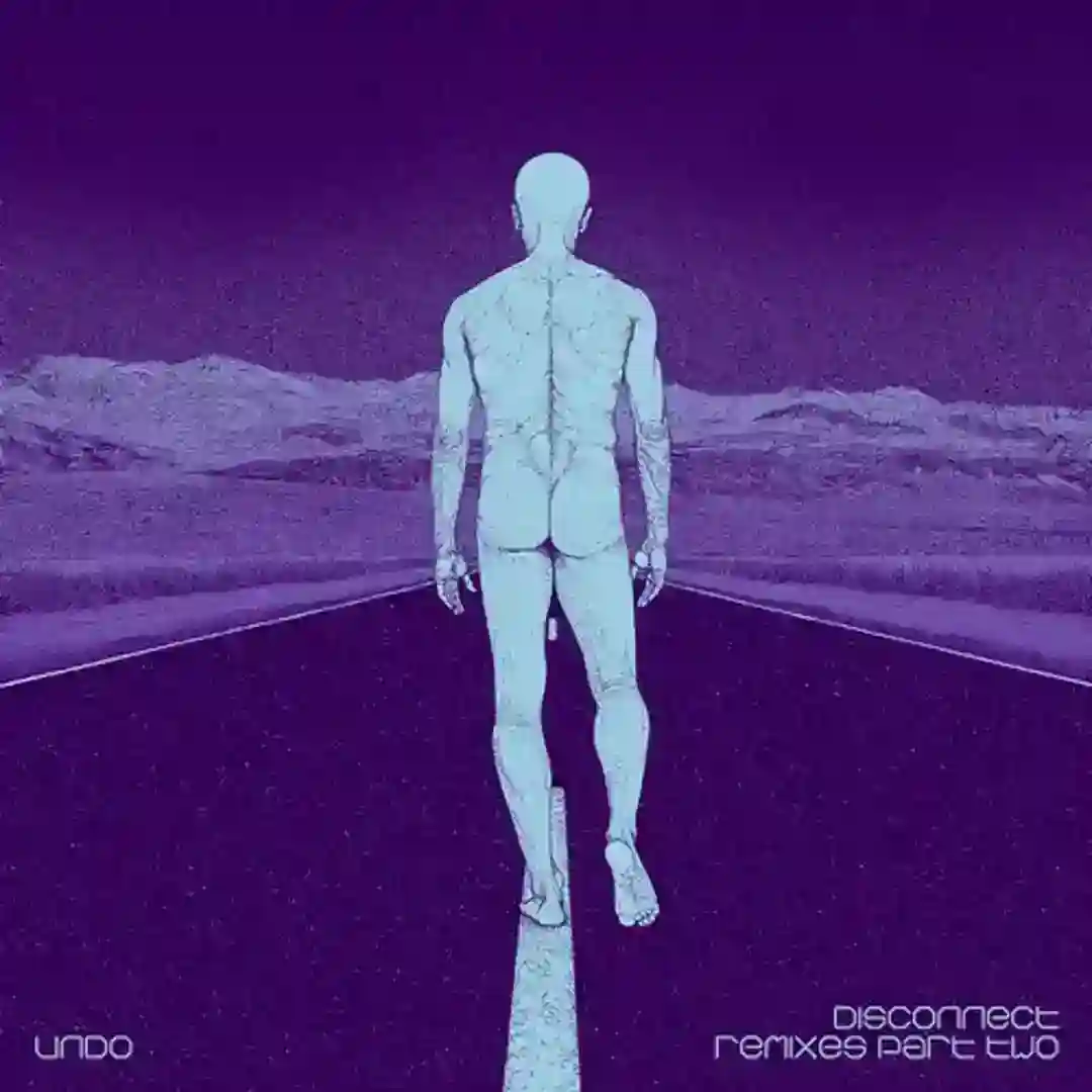 Disconnect Remixes Part Two cover
