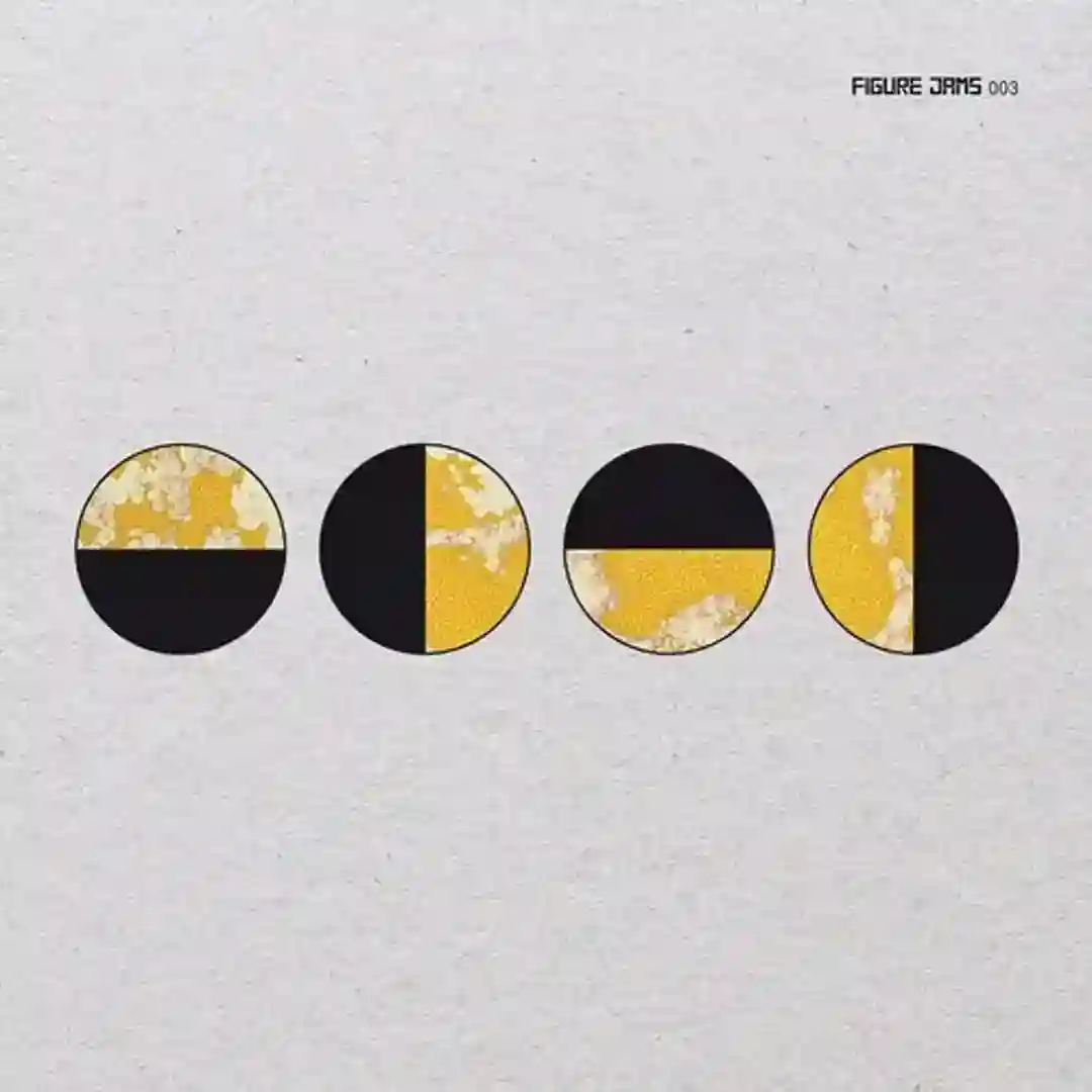 Polished (Original Mix) cover