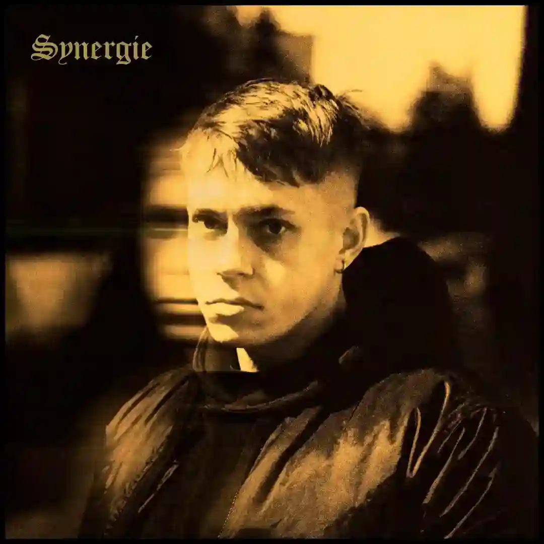 Synergie cover