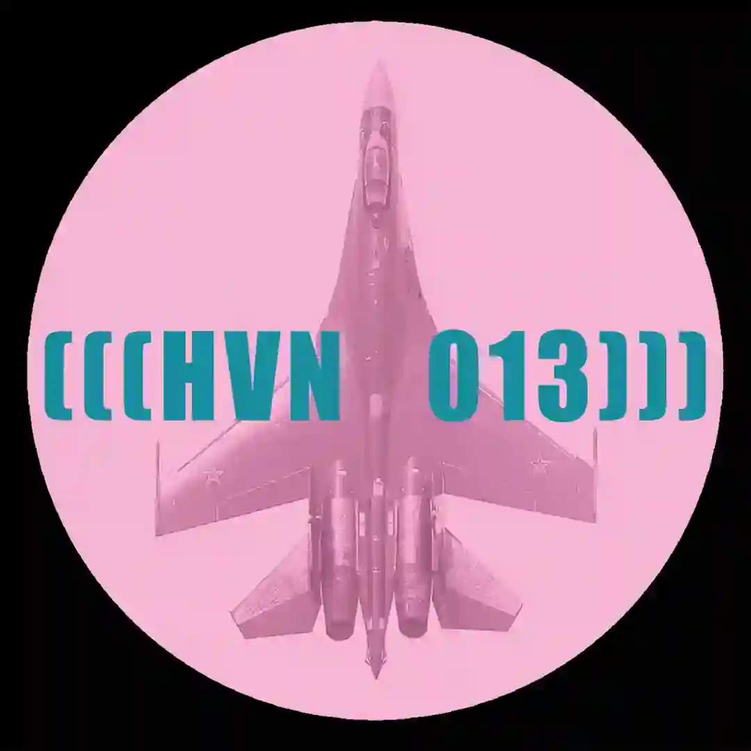 Variation Is A Feature Not A Flaw cover