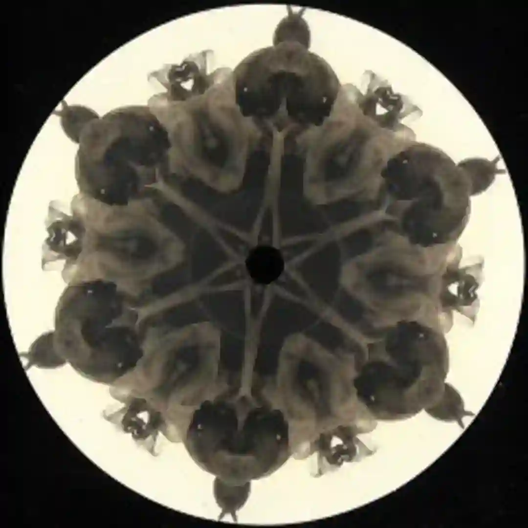 Untitled A [MOI011] cover