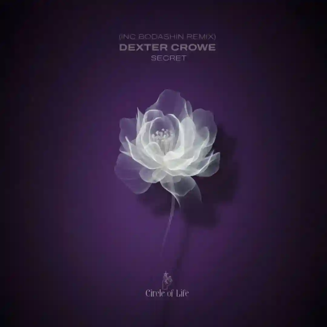 Secret (Original Mix) cover