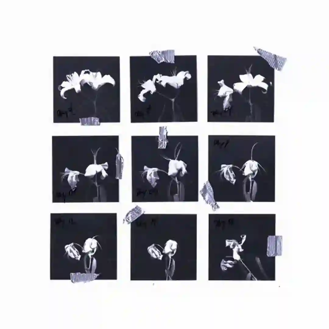 Non-Cellular Life EP cover