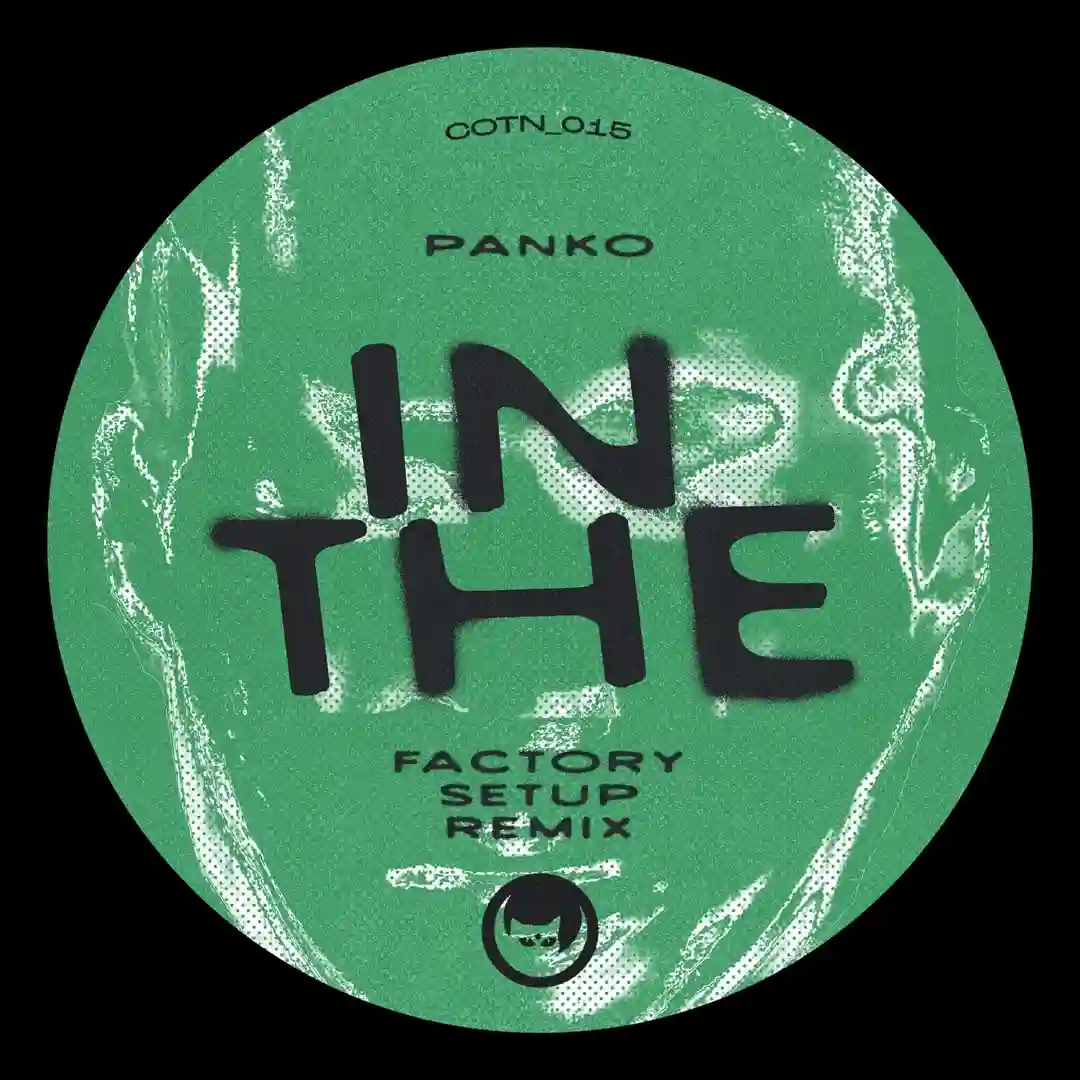 In The (Factory Setup Remix) cover
