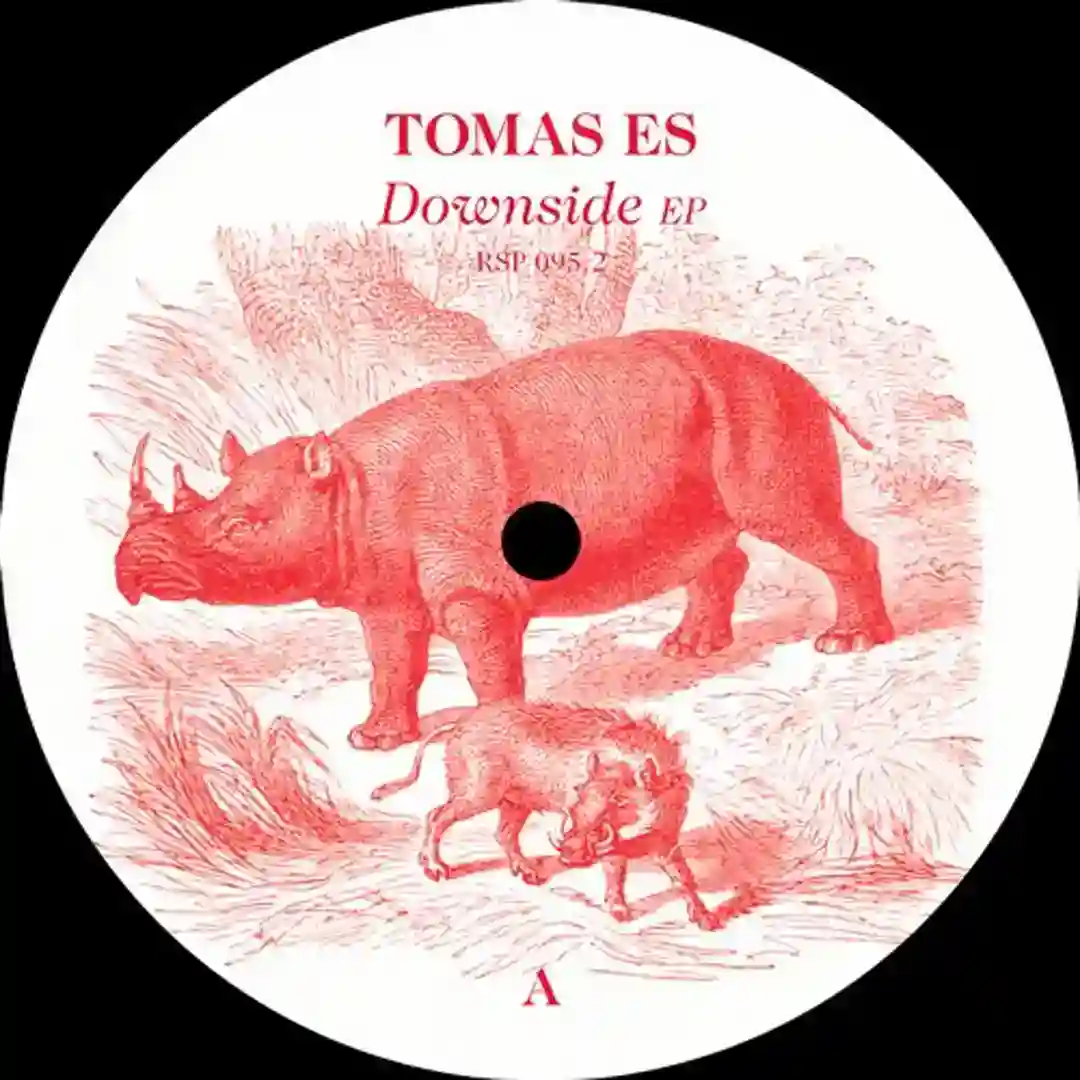 Downside (Original Mix) cover