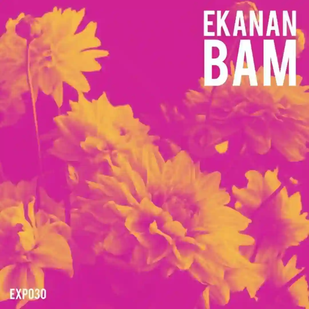 Bam cover
