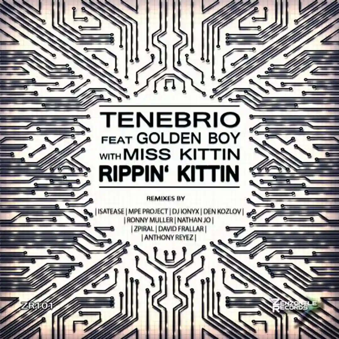 Rippin' Kittin (MPE Retro Pomp Mix) cover