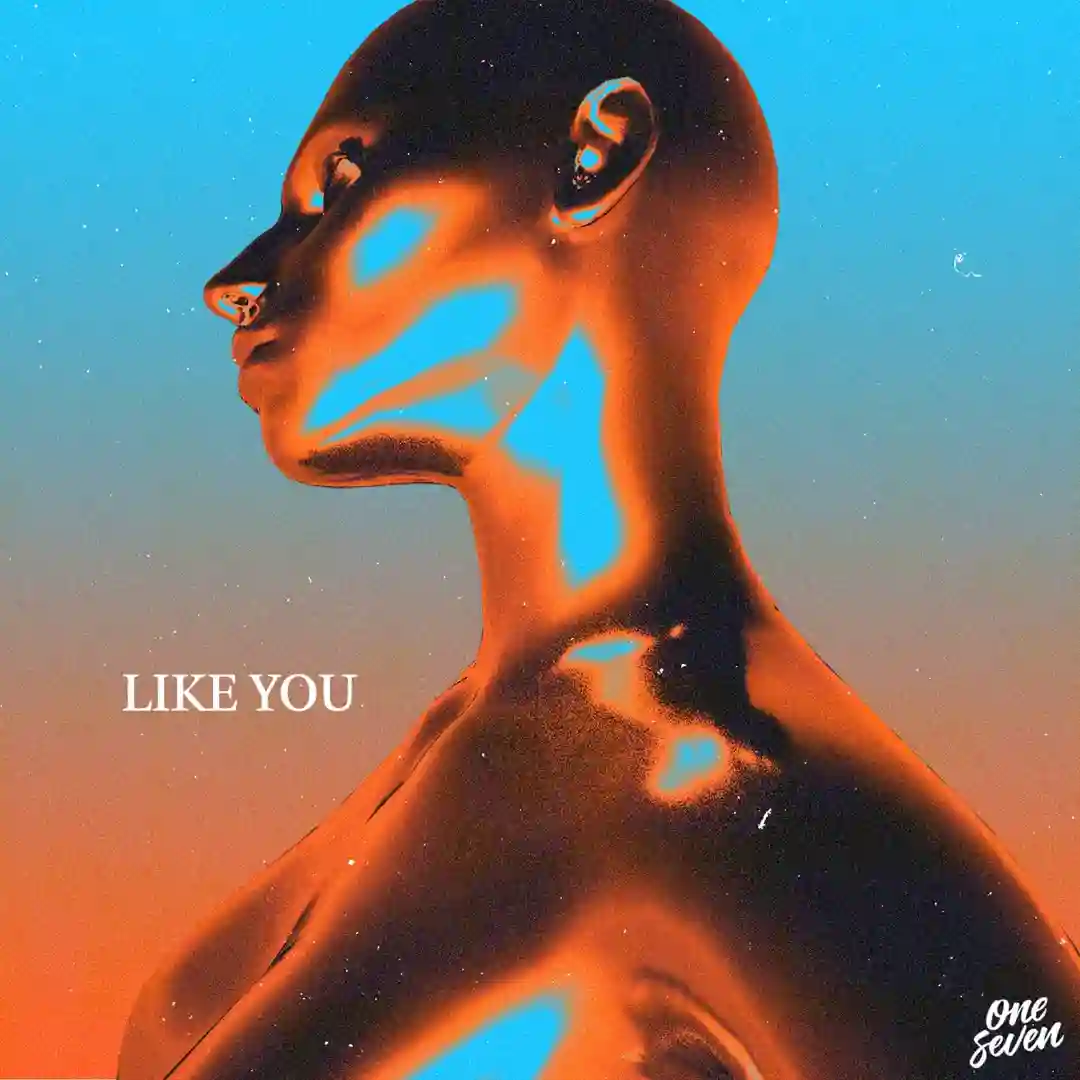 Like You (Extended Mix) cover