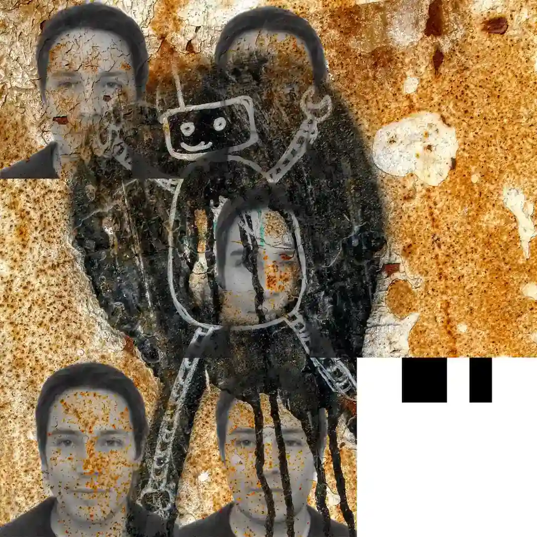 Wake Me cover
