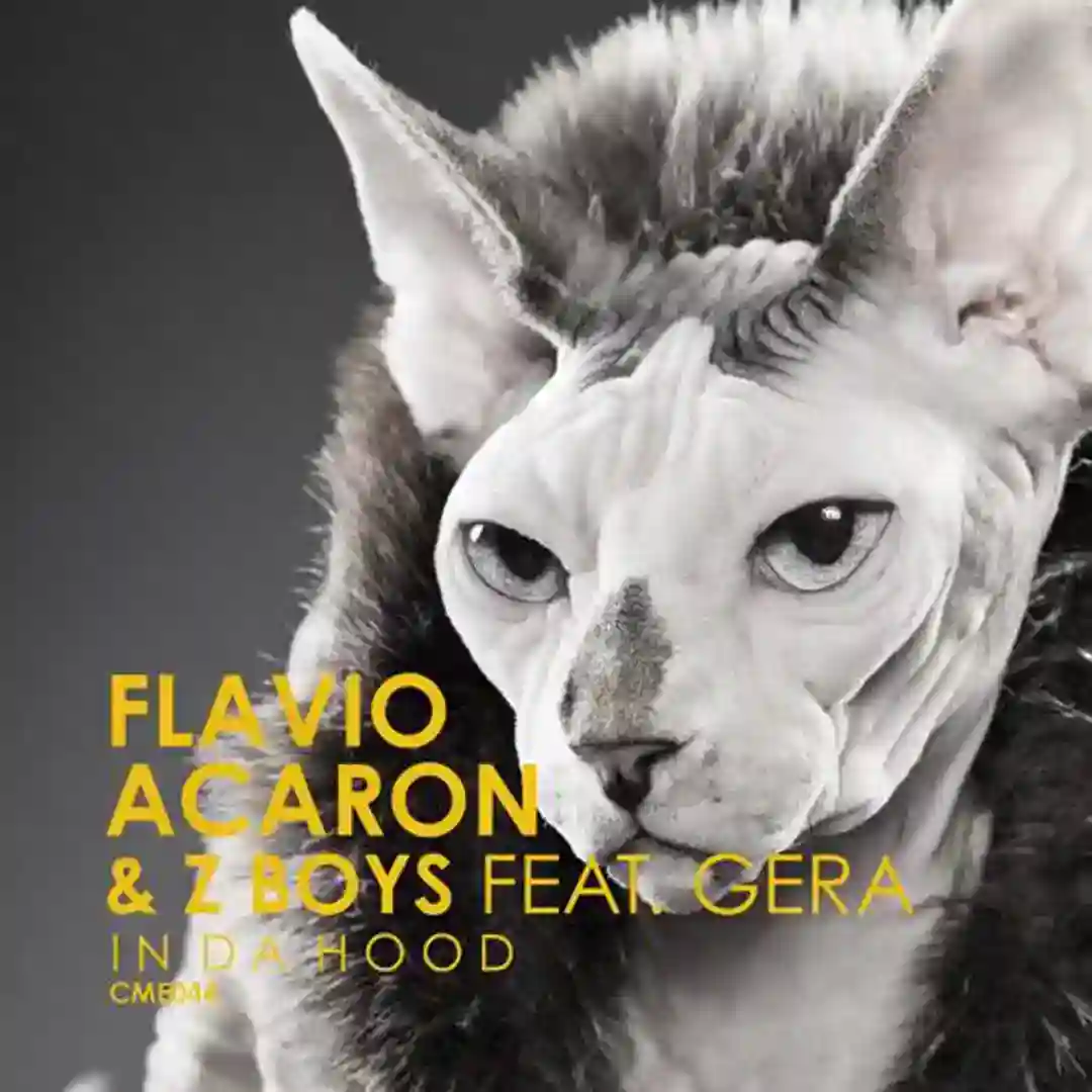 In Da Hood (Atapy Remix) cover