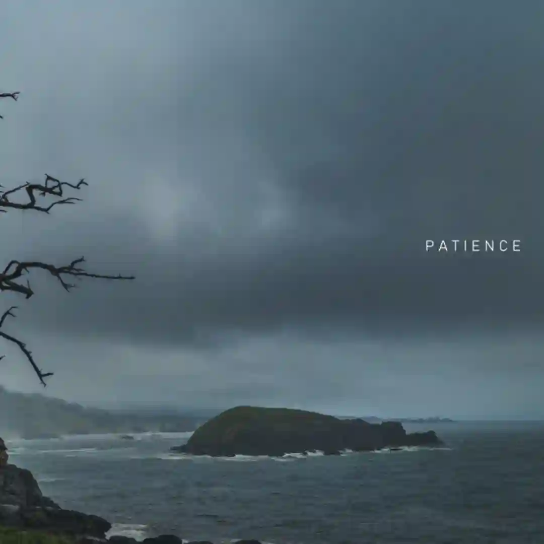 Patience cover