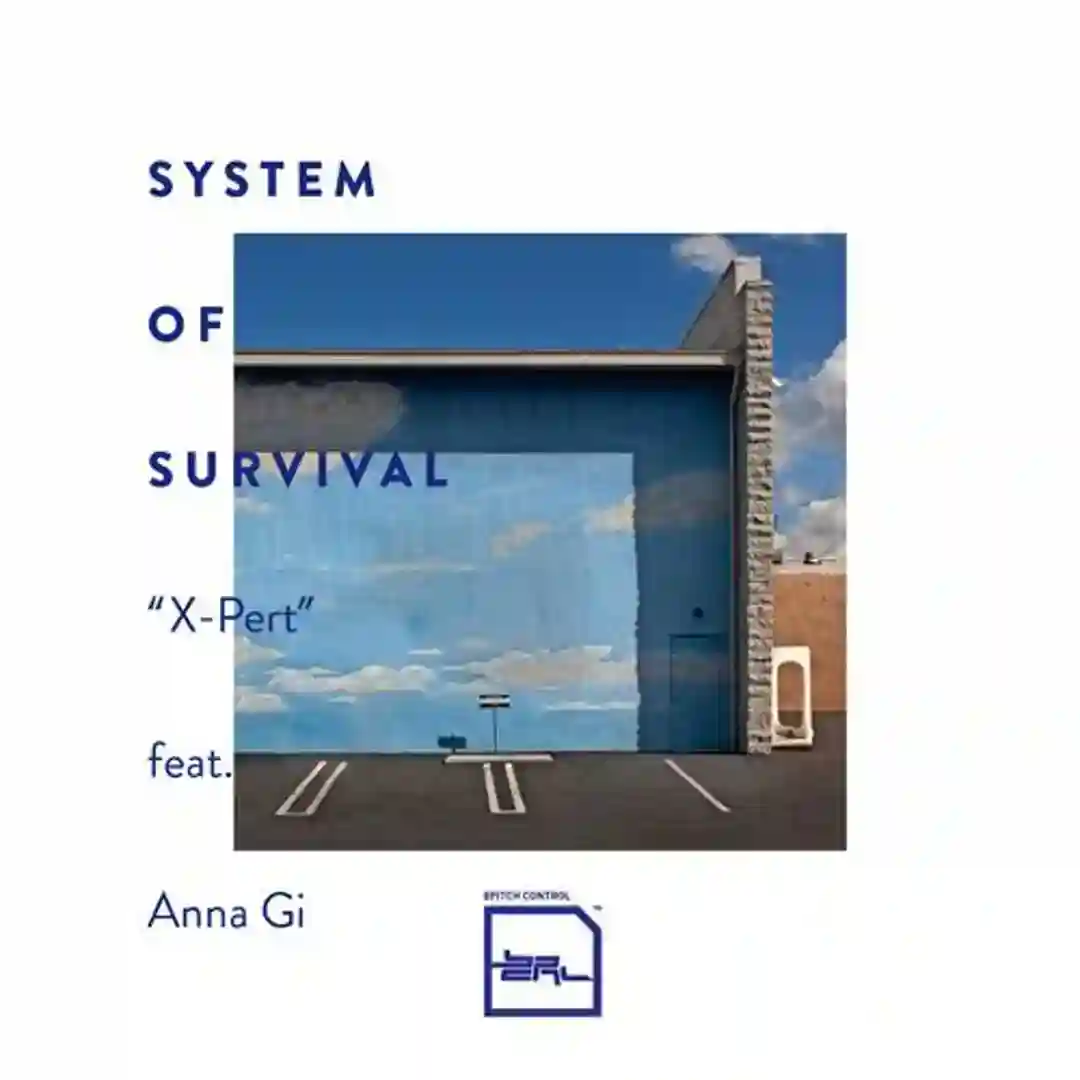 Xpert (Radio Version) cover