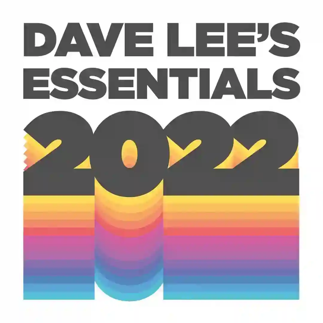 In 2 The Light (Dave Lee Slap Bass Invasion Dub) cover