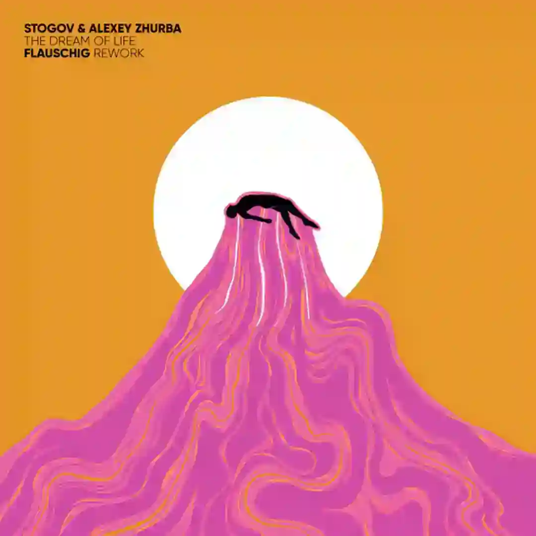The Dream Of Life (Flauschig Rework) cover