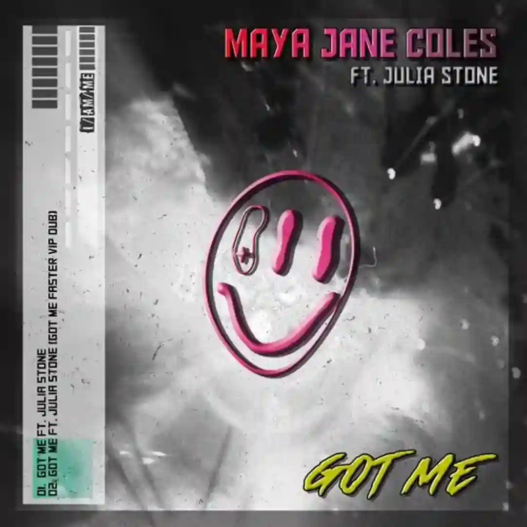 Got Me (feat. Julia Stone) (Got Me Faster VIP Dub) cover