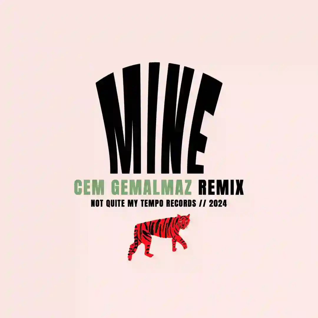 Mine (Cem Gemalmaz Remix) cover