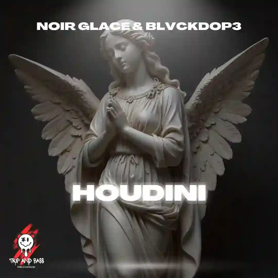 Houdini - AFRO HOUSE cover