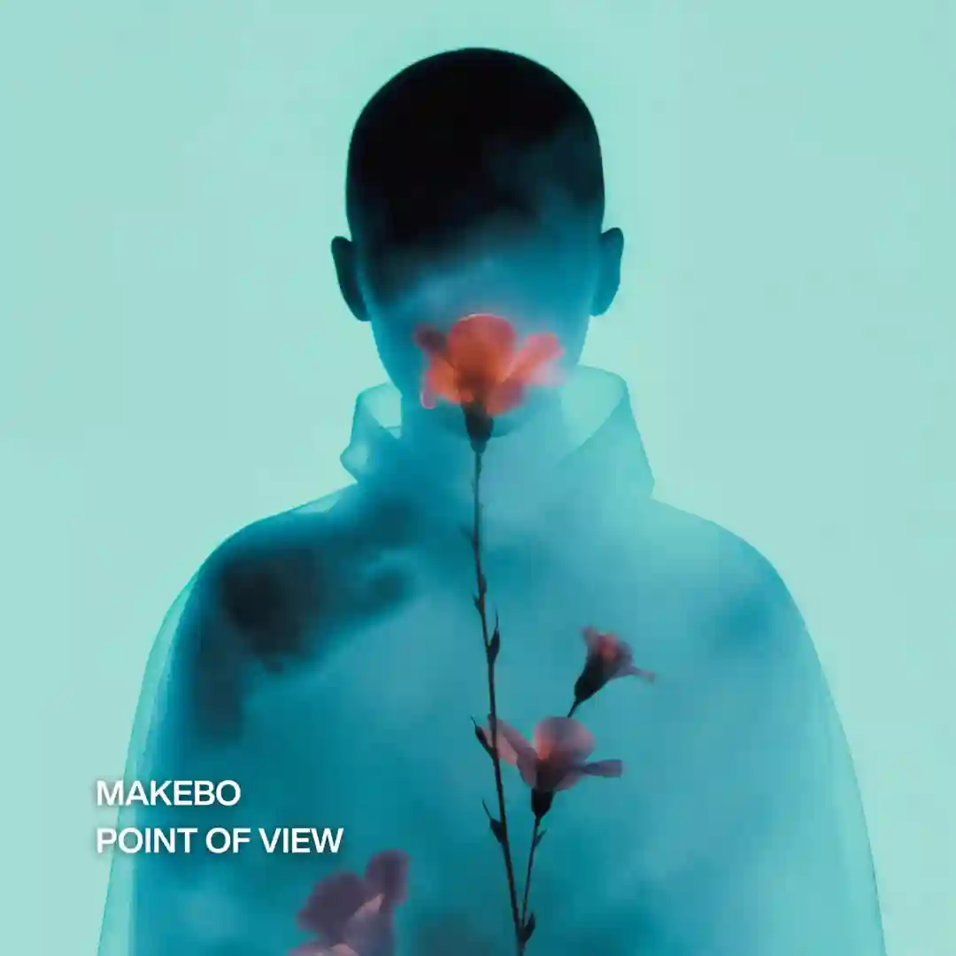 Point Of View (Extended Mix) cover